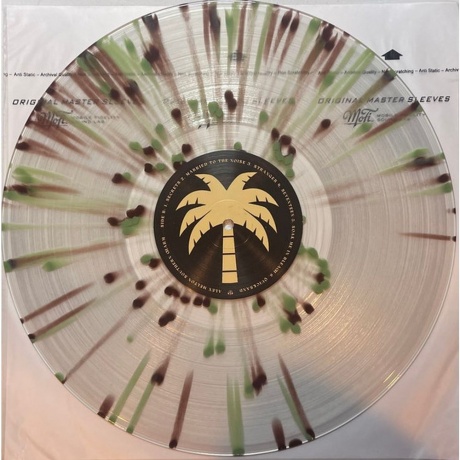 Alex Melton - Southern Charm (coloured) (0810540034706) виниловая пластинка - фото 4