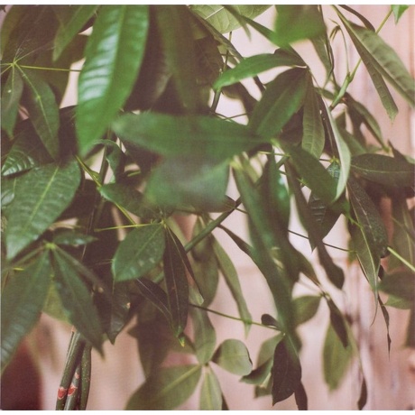 Katie Melua - Album No.8 (4050538624892) виниловая пластинка - фото 7