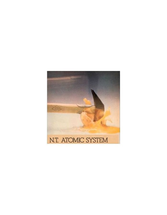 Виниловая пластинка New Trolls, Atomic System (8028980875922) цена и фото