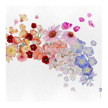 Виниловая пластинка Parlato, Gretchen, Flor (coloured) (5060509791514) - фото 1