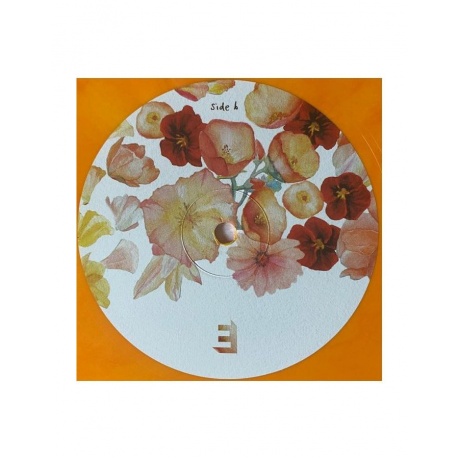 Виниловая пластинка Parlato, Gretchen, Flor (coloured) (5060509791514) - фото 4