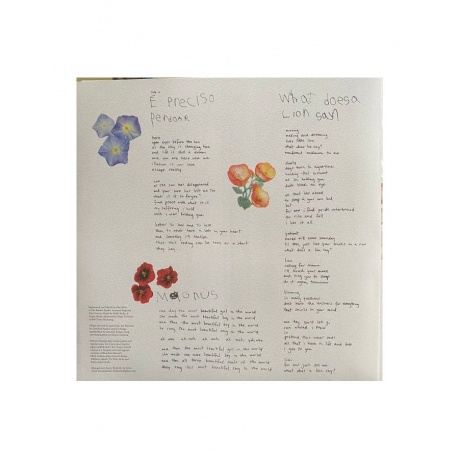 Виниловая пластинка Parlato, Gretchen, Flor (coloured) (5060509791514) - фото 5