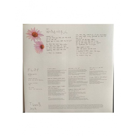 Виниловая пластинка Parlato, Gretchen, Flor (coloured) (5060509791514) - фото 6