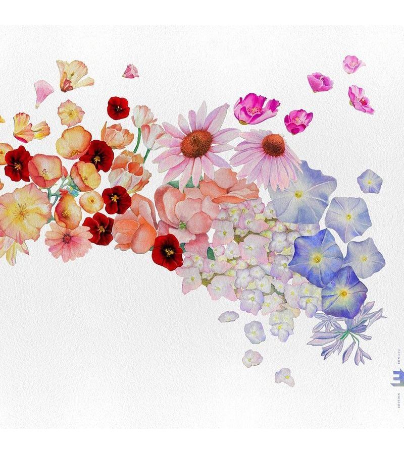 Виниловая пластинка Parlato, Gretchen, Flor (coloured) (5060509791514) roy orbison chicken hearted b w i like love