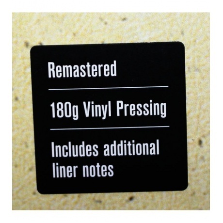 Jean-Luc Ponty - No Absolute Time (4029759182443) виниловая пластинка - фото 4