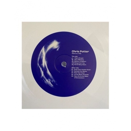 Chris Potter - There Is A Tide (5060509791163) виниловая пластинка - фото 4