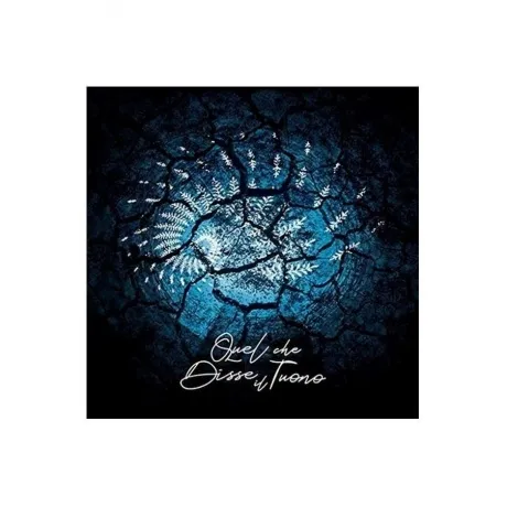 Quel Che Disse Il Tuono - Il Velo Dei Riflessi (8016158015140) в...