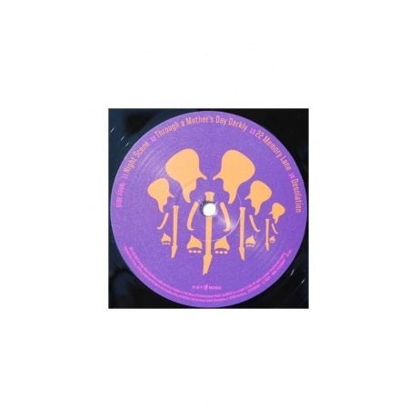 Joe Satriani - The Elephants Of Mars (4029759173182) виниловая пластинка - фото 7