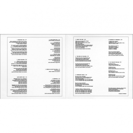 Shocking Blue - 3rd Album (8712944331967) виниловая пластинка - фото 8