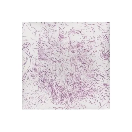 Tom Skinner - Voices Of Bishara (5060180325206) виниловая пласти...