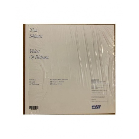 Tom Skinner - Voices Of Bishara (5060180325206) виниловая пластинка - фото 2