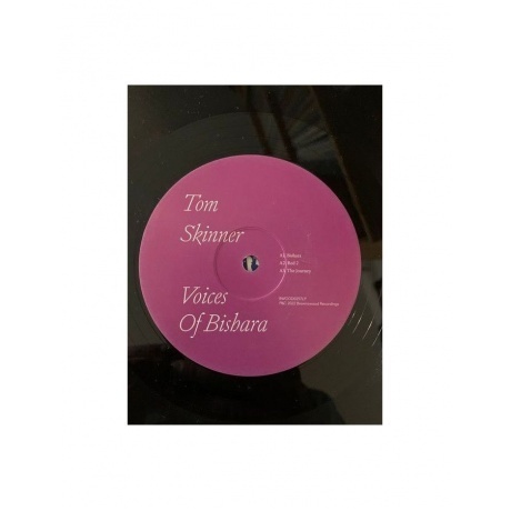 Tom Skinner - Voices Of Bishara (5060180325206) виниловая пластинка - фото 5
