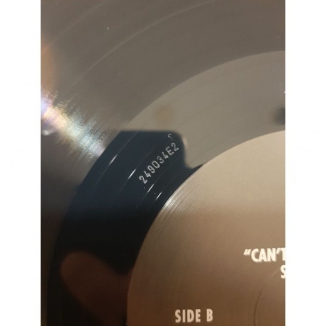 Steely Dan - Can't Buy A Thrill (0602445406524) виниловая пластинка - фото 7