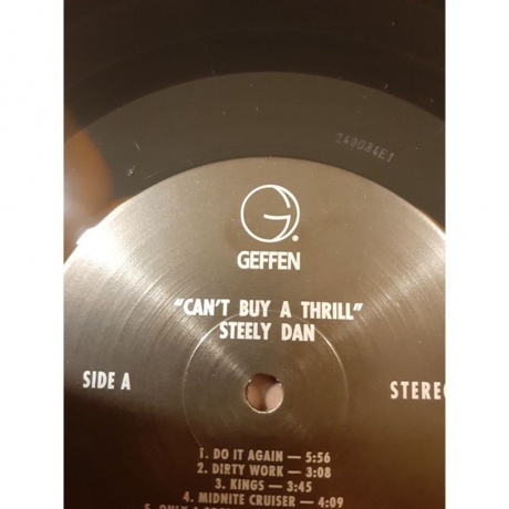 Steely Dan - Can't Buy A Thrill (0602445406524) виниловая пластинка - фото 9