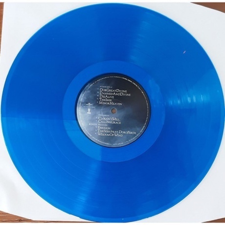 Tarja - My Winter Storm (coloured) (0602448229304) виниловая пластинка - фото 7