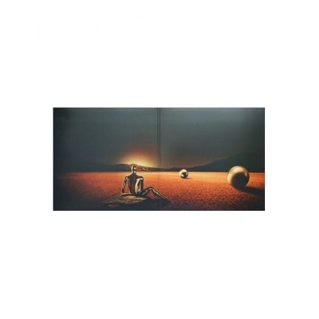 Trees Speak - PostHuman (5026328004693) виниловая пластинка - фото 6