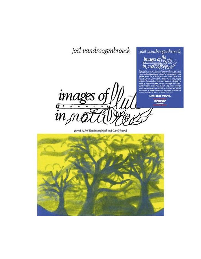 Виниловая пластинка Vandroogenbroeck, Joel, Images Of Flute In Nature (7427252014693) цена и фото