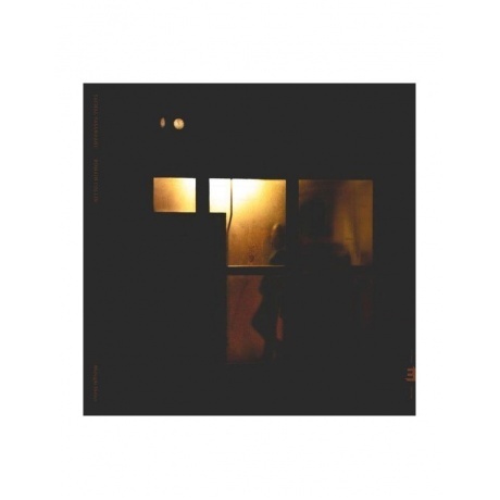 

Sachal Vasandani - Midnight Shelter (coloured) (5060509791255) виниловая пластинка