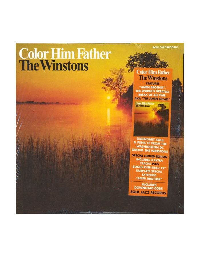 Виниловая пластинка Winstons, The, Color Him Father (5026328004976) dior birds of a feather rouge graphist