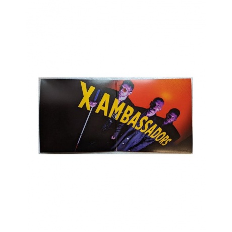 Виниловая пластинка X Ambassadors, The Beautiful Liar (coloured) (0602438725229) - фото 3