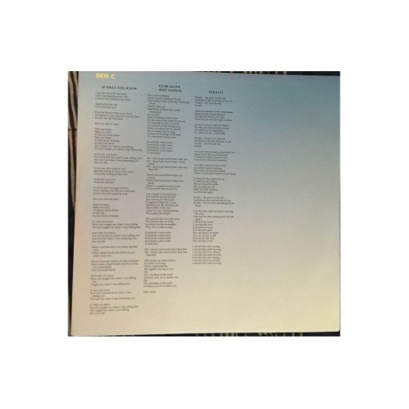 Yes - The Ladder (4029759143154) виниловая пластинка - фото 13