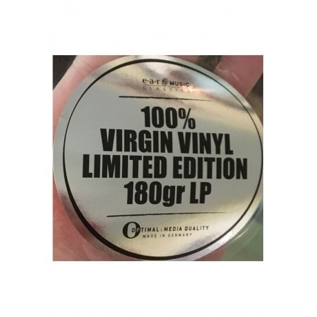 Yes - The Ladder (4029759143154) виниловая пластинка - фото 6