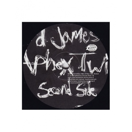 0801061004316, Виниловая пластинка Aphex Twin, Richard D. James Album - фото 4