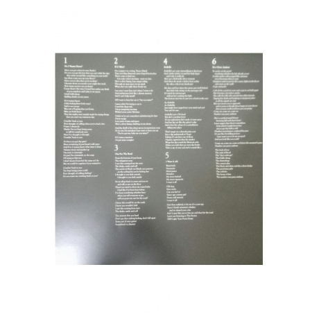 Arctic Monkeys - AM (0887828031719) виниловая пластинка - фото 7