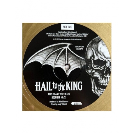 0093624854449, Виниловая пластинка Avenged Sevenfold, Hail To The King (coloured) - фото 11