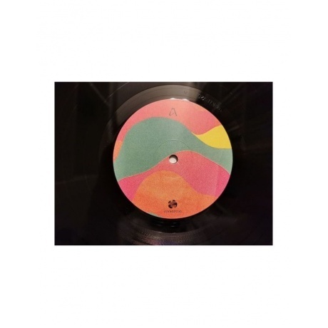 Isobel Campbell - There Is No Other... (0711297522013) виниловая пластинка - фото 4