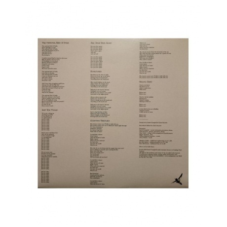 Isobel Campbell - There Is No Other... (0711297522013) виниловая пластинка - фото 7