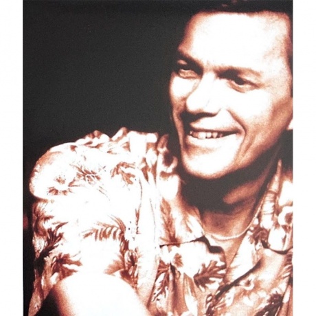 The Carpenters - Collected (0602557536409) виниловая пластинка - фото 10