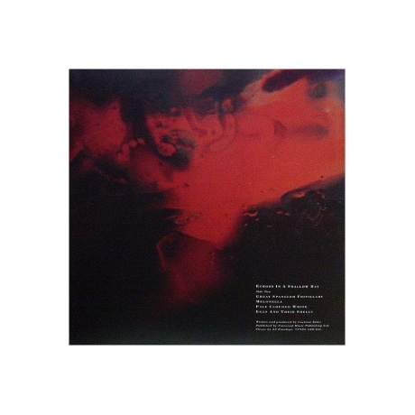 0652637351019, Виниловая пластинка Cocteau Twins, Tiny Dynamine/ Echoes In A Shallow Bay - фото 5