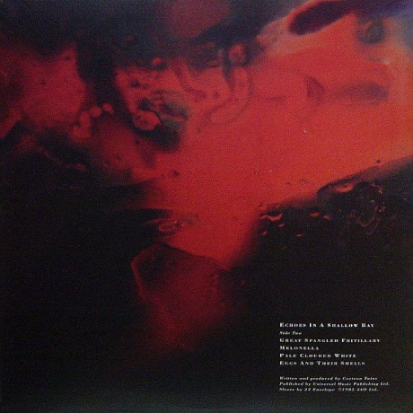 0652637351019, Виниловая пластинка Cocteau Twins, Tiny Dynamine/ Echoes In A Shallow Bay - фото 6