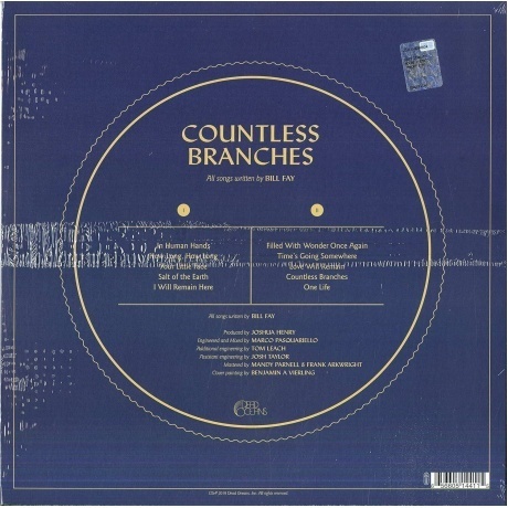 Bill Fay - Countless Branches (0656605144115) виниловая пластинка - фото 2