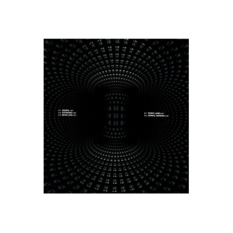 Jean Michel Jarre - Oxymore (0196587465810) виниловая пластинка - фото 46