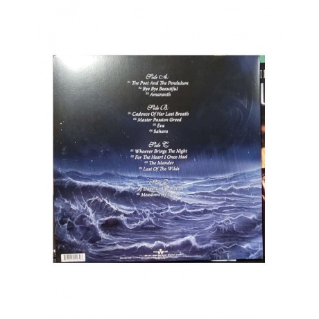 0727361192396, Виниловая пластинка Nightwish, Dark Passion Play - фото 2