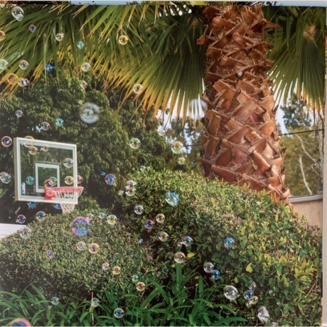 Post Malone - Austin (coloured) (0602455709127) виниловая пластинка - фото 5