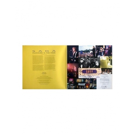 Saga - Pleasure And The Pain (4029759155416) виниловая пластинка - фото 4