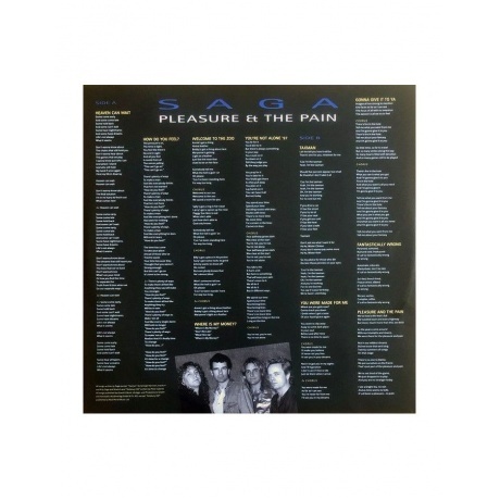 Saga - Pleasure And The Pain (4029759155416) виниловая пластинка - фото 7