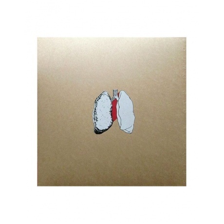 Swans - The Beggar (5400863101480) виниловая пластинка - фото 3