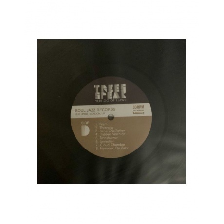 Trees Speak - Vertigo Of Flaws (5026328004983) виниловая пластинка - фото 16