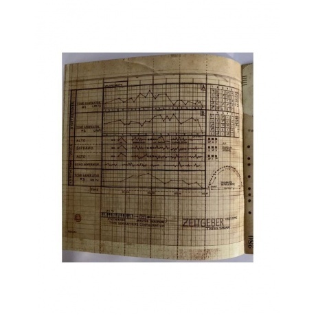 Trees Speak - Vertigo Of Flaws (5026328004983) виниловая пластинка - фото 6