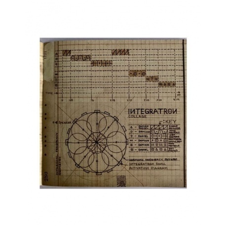 Trees Speak - Vertigo Of Flaws (5026328004983) виниловая пластинка - фото 7