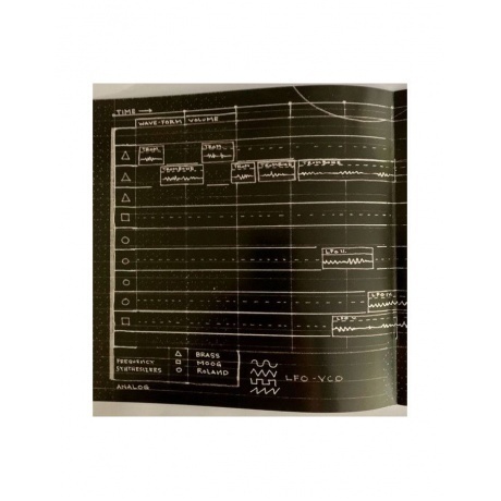 Trees Speak - Vertigo Of Flaws (5026328004983) виниловая пластинка - фото 8