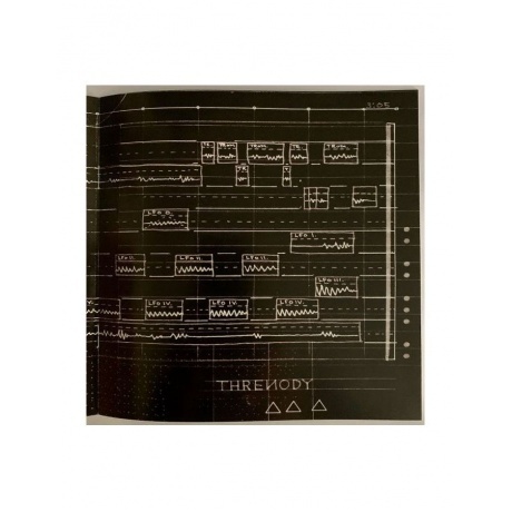 Trees Speak - Vertigo Of Flaws (5026328004983) виниловая пластинка - фото 9