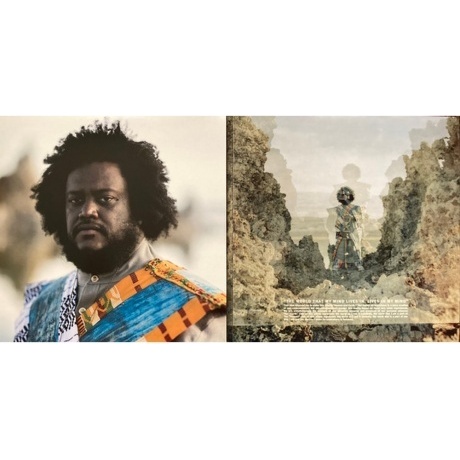 Kamasi Washington - Heaven And Earth (0889030017611) виниловая пластинка - фото 27