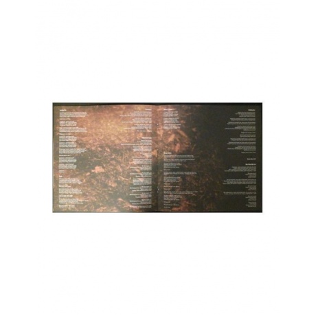 8719262015593, Виниловая пластинка Cantrell, Jerry, Degradation Trip Volumes 1 &amp; 2 - фото 12