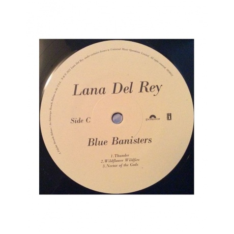 0602438590148, Виниловая пластинка Del Rey, Lana, Blue Banisters - фото 7