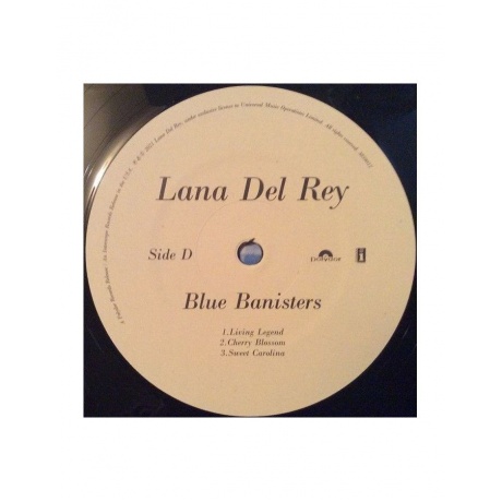 0602438590148, Виниловая пластинка Del Rey, Lana, Blue Banisters - фото 8